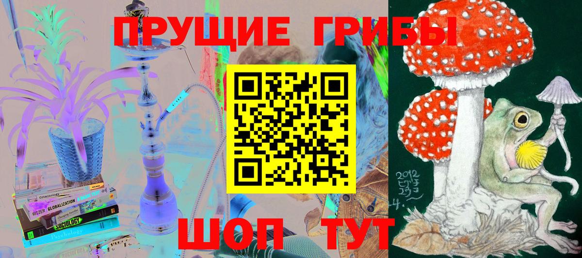 Сорочинск  Галлюциногенные грибы Psilocybine cubensis  Вход с VPN  Псилоцибиновые грибы GOLDEN TEACHER 